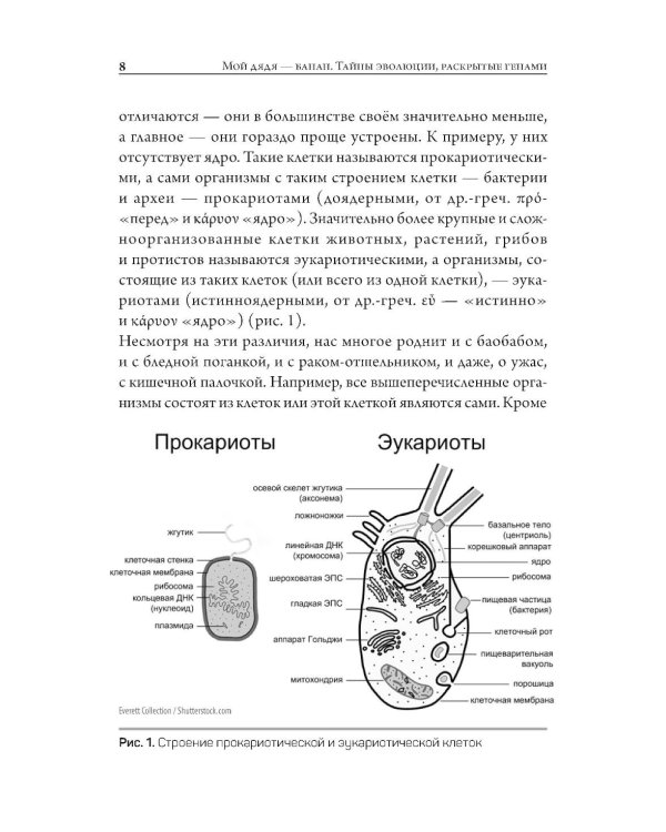 Мой дядя - банан. Тайны эволюции, раскрытые генами