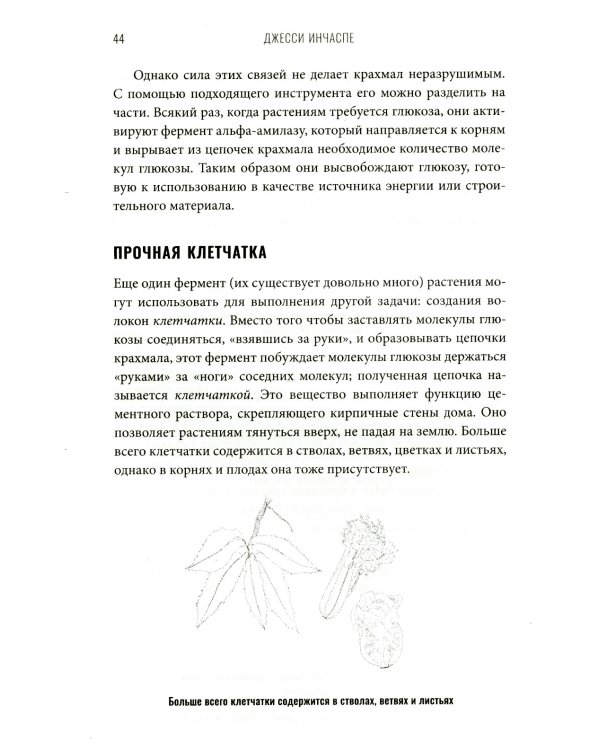 Богиня глюкозы: Нормализуйте уровень сахара в крови, чтобы изменить свою жизнь