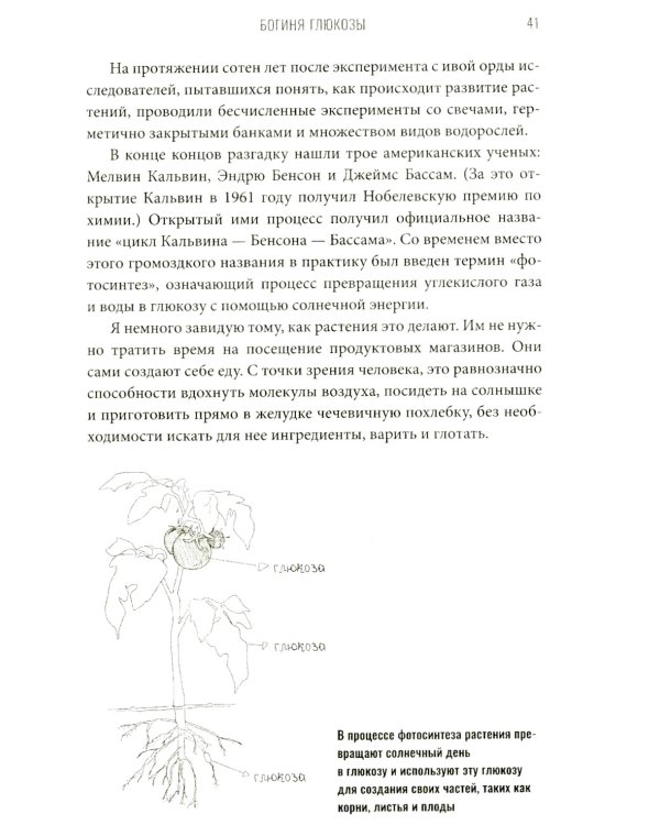 Богиня глюкозы: Нормализуйте уровень сахара в крови, чтобы изменить свою жизнь