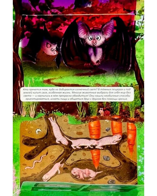 Дополнительное изображение книги «Атлас Земли. Животные»