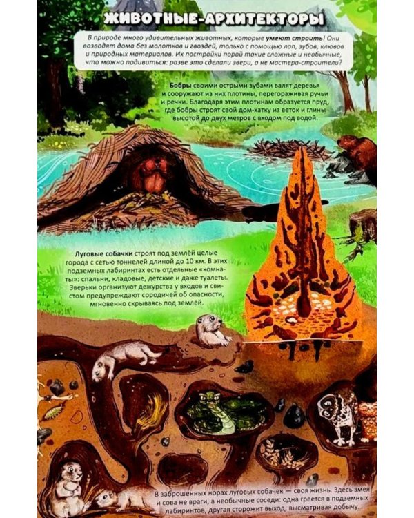 Дополнительное изображение книги «Атлас Земли. Животные»