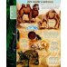 Дополнительное изображение книги «Атлас Земли. Животные»