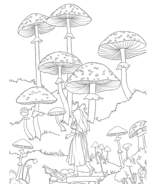 Алиса в Зазеркалье. Раскраска-путешествие. Кн. 2