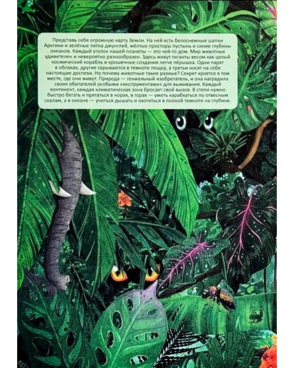 Дополнительное изображение книги «Атлас Земли. Животные»