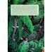Дополнительное изображение книги «Атлас Земли. Животные»