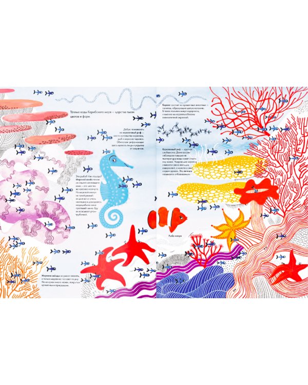 Тысяча и одна рыба
