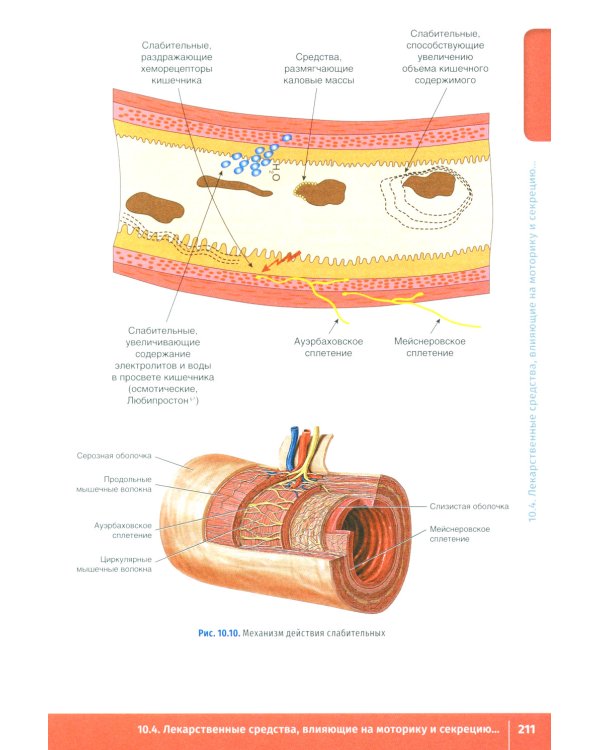 Фармакология. Иллюстрированный учебник