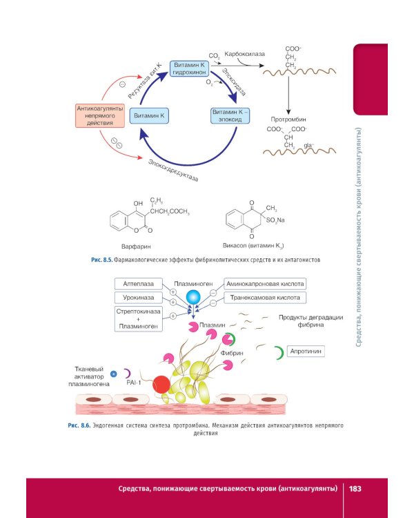 Фармакология. Иллюстрированный учебник