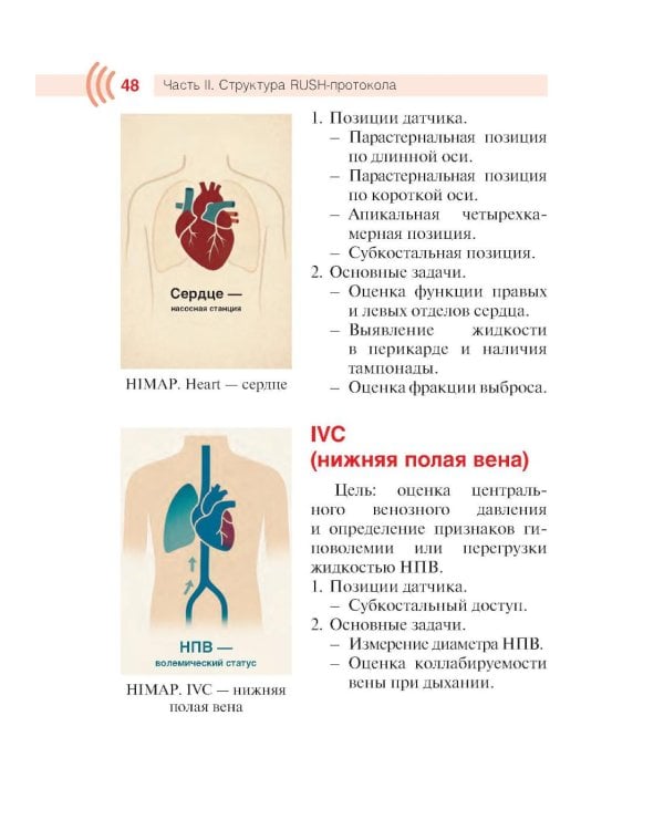 Протокол RUSH. Руководство для оценки пациентов с шоком и гипотензией