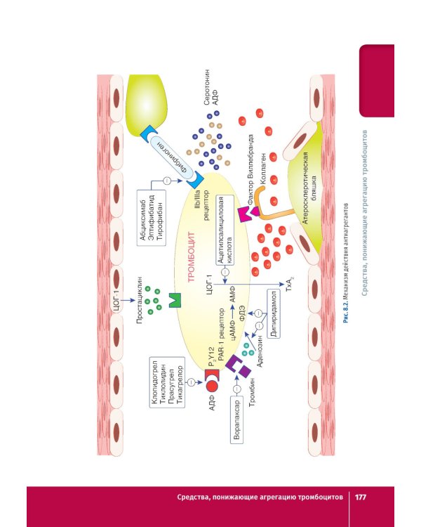 Фармакология. Иллюстрированный учебник