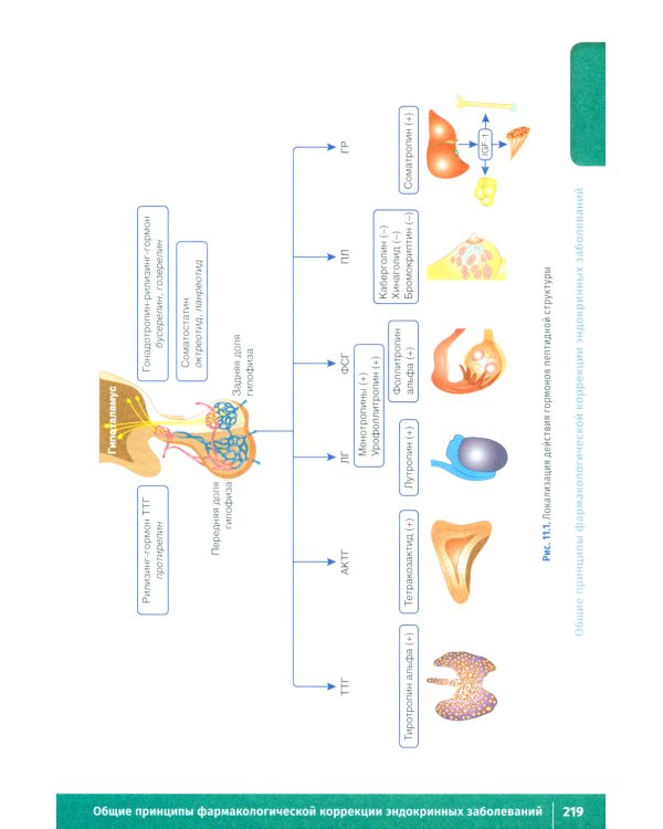 Фармакология. Иллюстрированный учебник