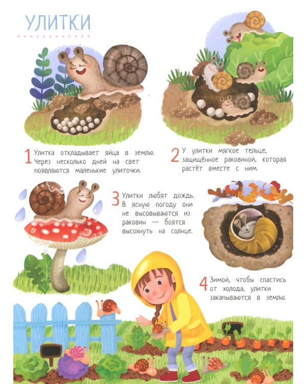 Обитатели сада: книга идей и развлечений с наклейками