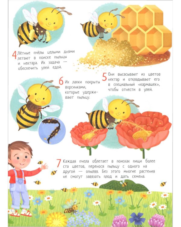 Обитатели сада: книга идей и развлечений с наклейками