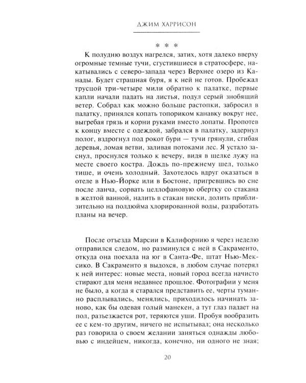 Волк. Ложное воспоминание: роман