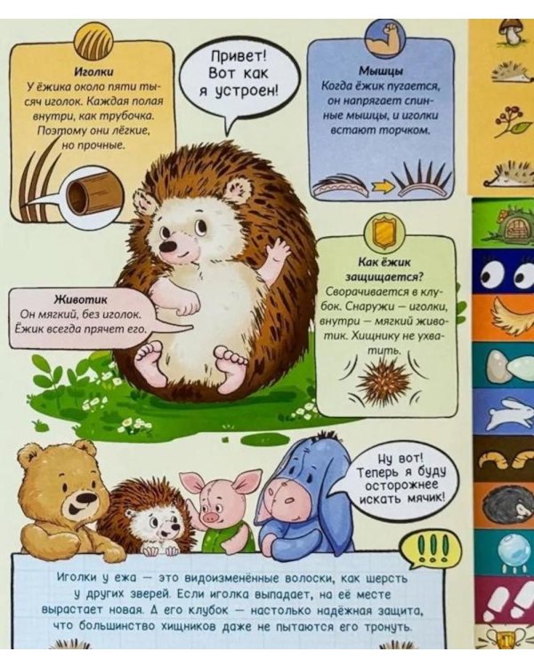 Дополнительное изображение книги «Веселая зверология»