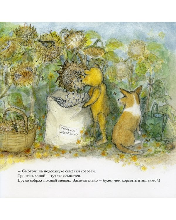 Осень мишки Бруно