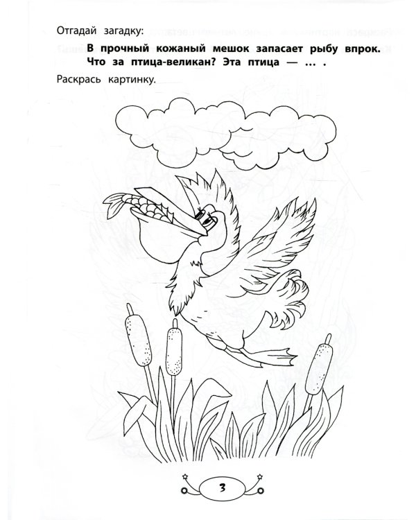 Кто летает всех быстрей. Раскраска с заданиями и загадками