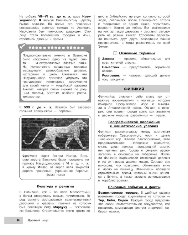 История