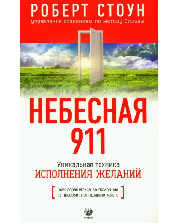 Небесная 911. Как обращаться за помощью к правому полушарию мозга