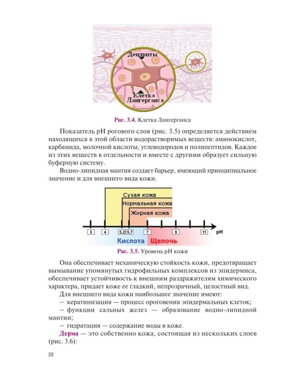 Основы косметологии: Учебник