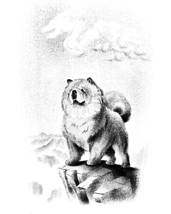 От Земли до Неба. Даосский роман