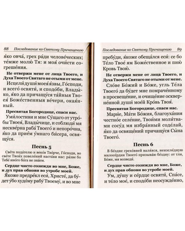 Молитвослов с правилом ко Святому Причащению. Пасхальный канон. Крупным шрифтом
