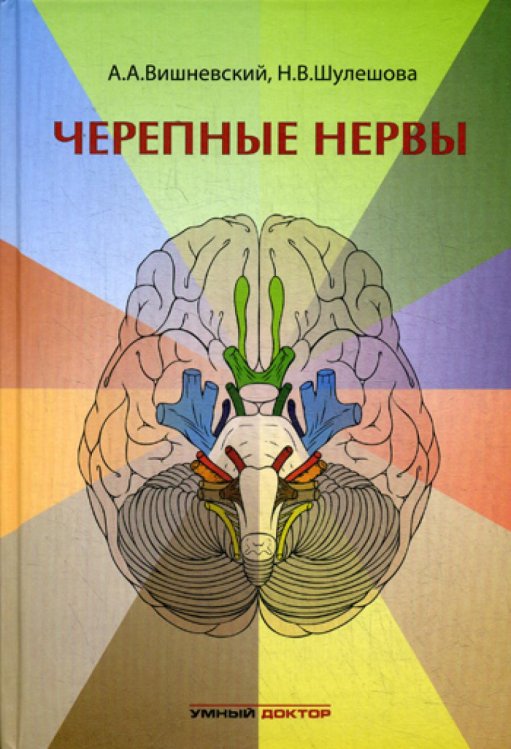Черепные нервы Черепные нервы