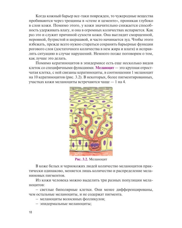 Основы косметологии: Учебник