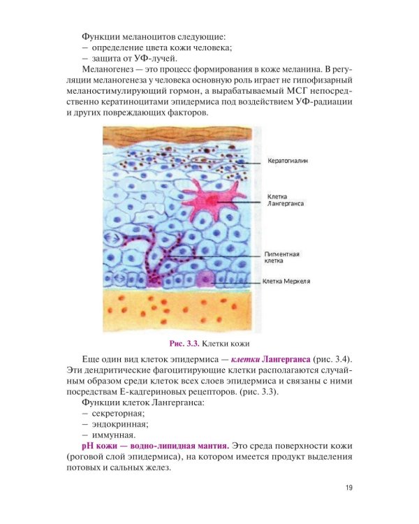 Основы косметологии: Учебник