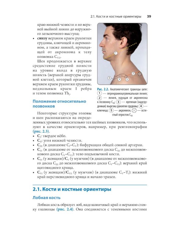 Проекционная анатомия. Карманный справочник