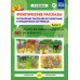 Фонетические рассказы. Составление рассказов по сюжетным и предметным картинкам. Вып. 4. Звуки [ч], [щ]. Дифференциация звуков [ч]-[т’], [щ]-[с’]