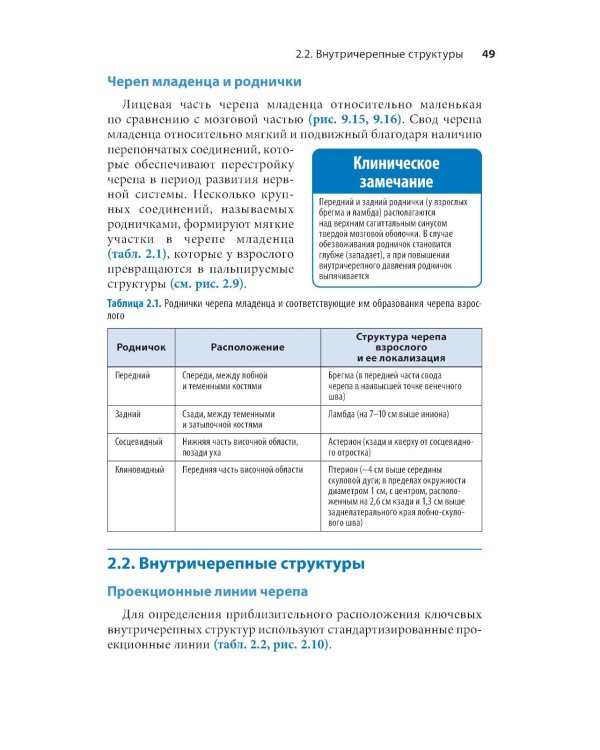 Проекционная анатомия. Карманный справочник