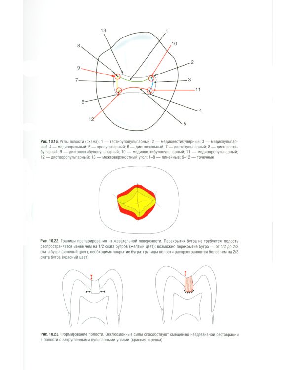Терапевтическая стоматология: национальное руководство. 3-е изд., перераб. и доп