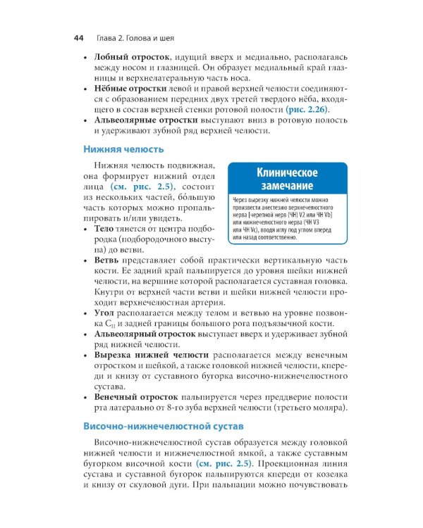 Проекционная анатомия. Карманный справочник