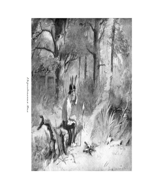 Маленькие дикари