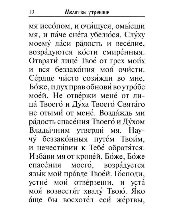 Молитвослов: крупный шрифт. Каноны совмещенные