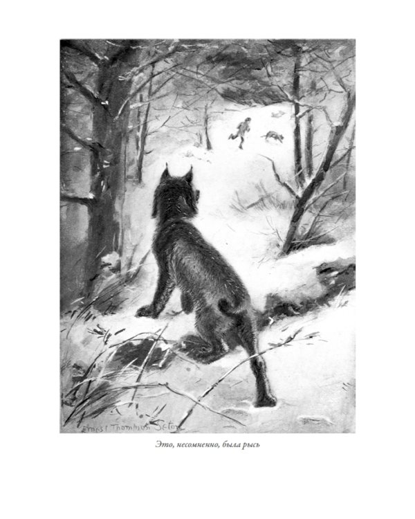 Маленькие дикари