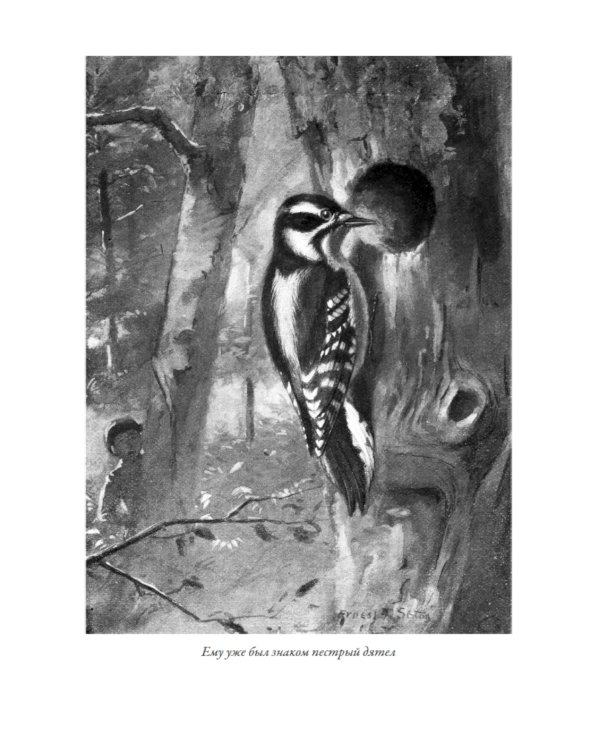 Маленькие дикари