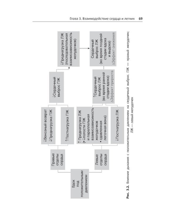 Руководство по внутривенным инфузиям