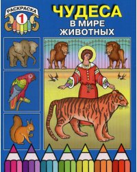 Чудеса в мире животных. Раскраска 1