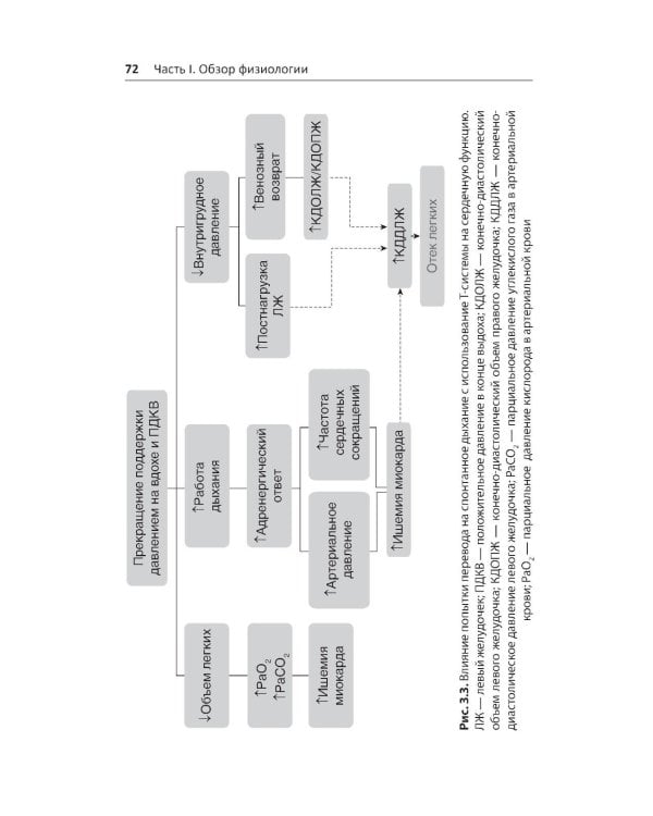 Руководство по внутривенным инфузиям