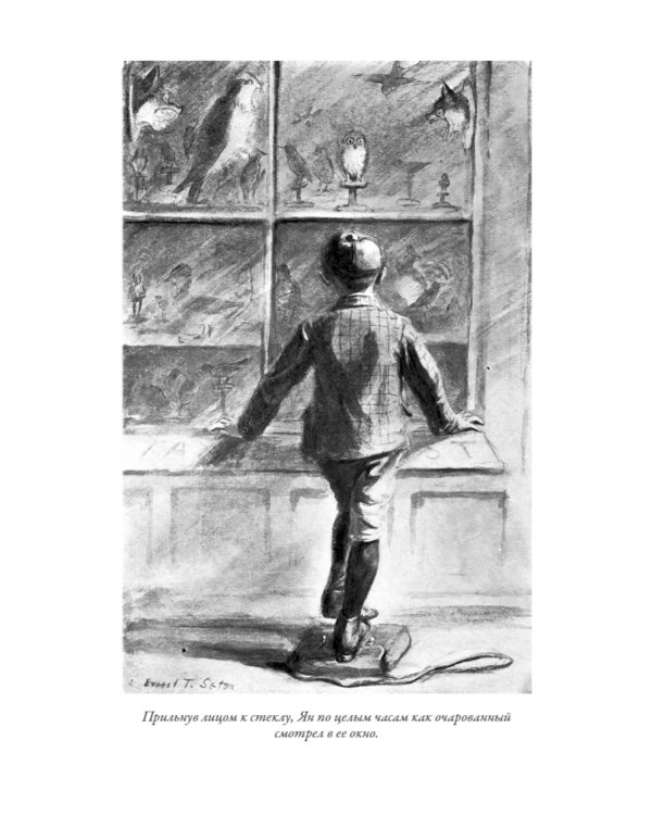 Маленькие дикари