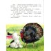 Дополнительное изображение книги «Маленькие сказки про большую умничку»