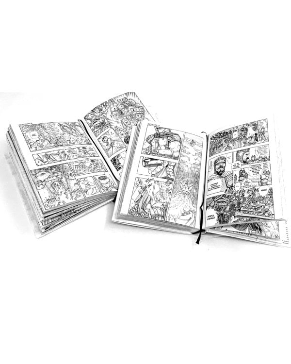 Берсерк. Т. 2-3 (комплект из 2-х книг)