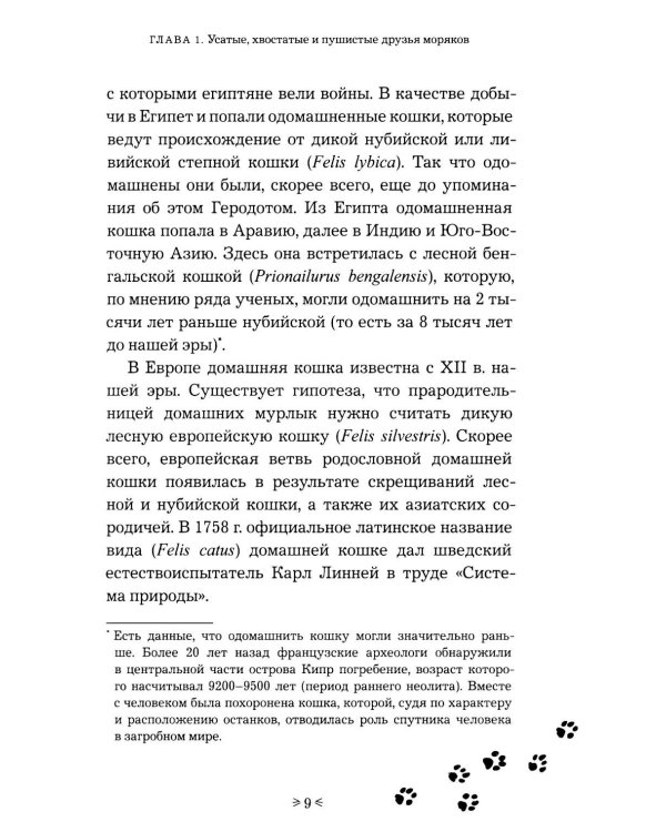 Корабельные коты. От «исчадий ада» до воинов-орденоносцев