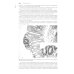 Национальное руководство Детская гастроэнтерология. Национальное руководство