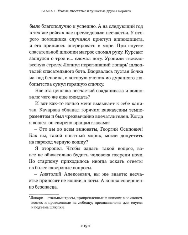 Корабельные коты. От «исчадий ада» до воинов-орденоносцев