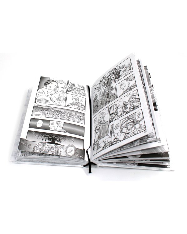 Берсерк. Т. 2-3 (комплект из 2-х книг)