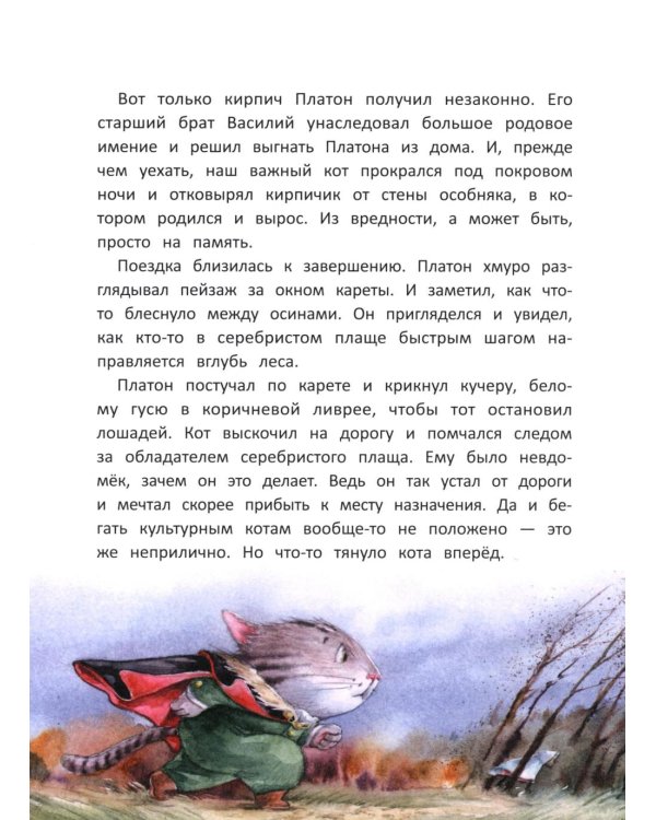 Кот Платон и тайна белых ос