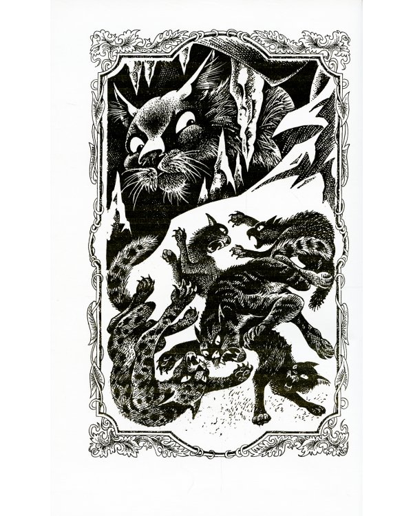 Коты-воители. Отверженные